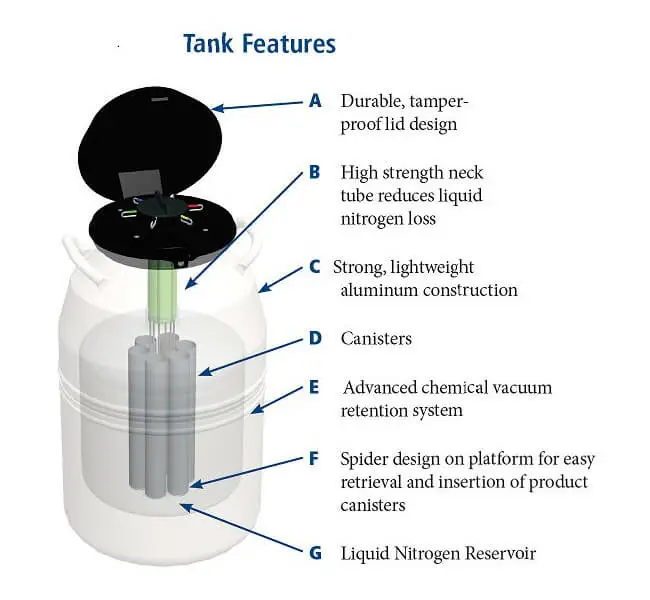 mve-sc-series-dewar-features-cutaway MVE Spectrum Series